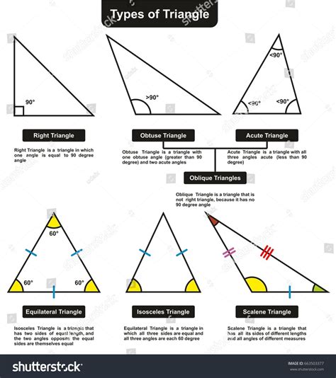 Different Types Of Triangles With Definitions Angles Infographic