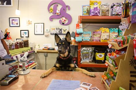 Pet Stores In Chicago For Dog Leashes Cat Collars And More