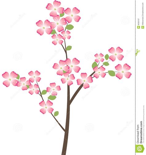 Contact us with a description of the clipart you are searching for and we'll help you find it. Pink dogwood clipart 20 free Cliparts | Download images on ...