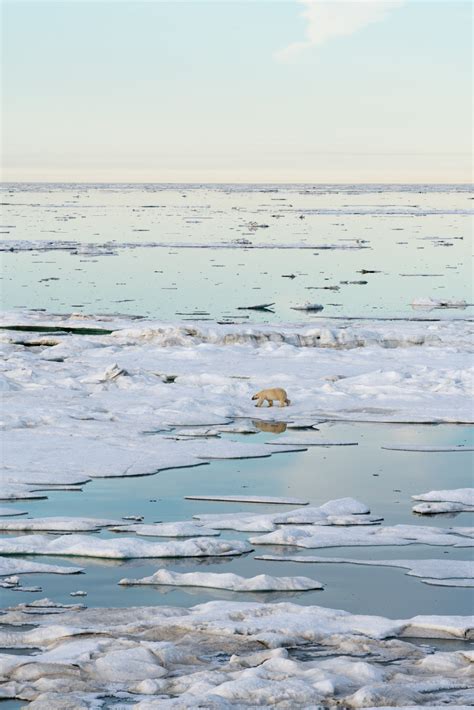 East Siberian Sea — Alida Latham Photography
