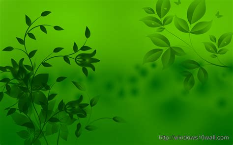 Green Leaves Wallpaper Hd Wallpaper Windows 10 Wallpapers