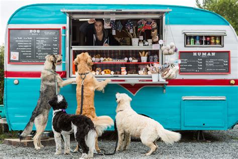 Treat Your Dog At These Pup Friendly Seattle Spots Seattle Met
