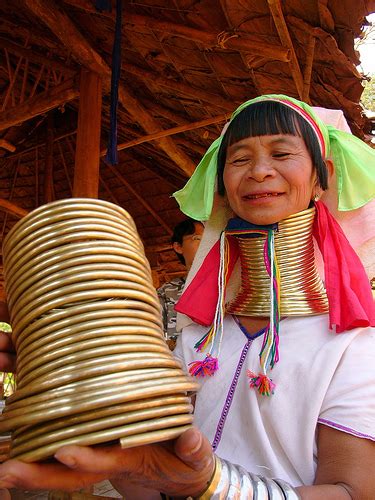 Within africa's ndebele tribe, the women of the tribe wear copper and brass rings not only around their necks, but around their legs and arms, as well. Pinalisa: 11/1/10