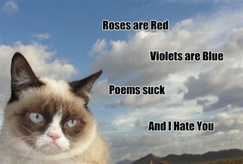 Grumpy Cat Memes The Best Classic Memes 50 Best