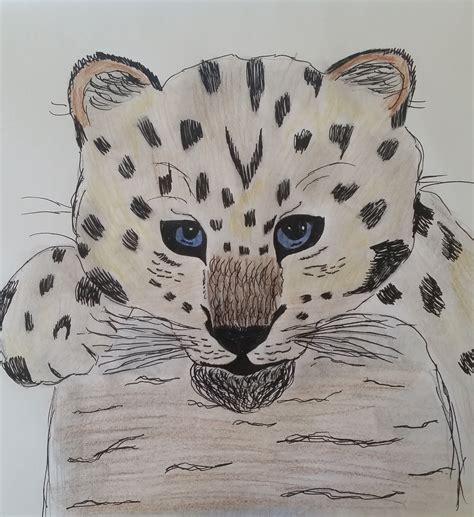 Baby Cheetah Cute Drawings Cat Drawing Art Lessons For Kids