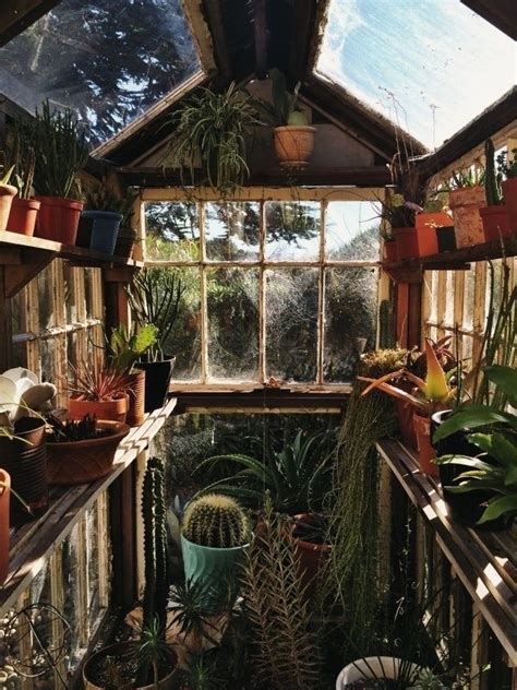 Grandmacore Tumblr Backyard Plants House