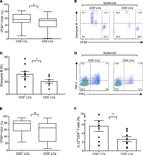 Functional Characterization Of Cd5 And Cd5 Lc Subsets A The