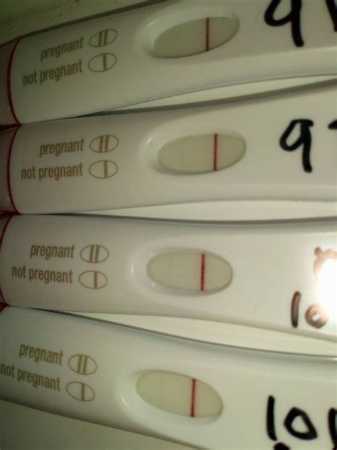 Tesco Pregnancy Test Evap Line