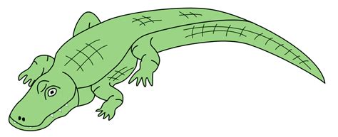 Swamp Alligator Cartoon Clipart Image Clipartix