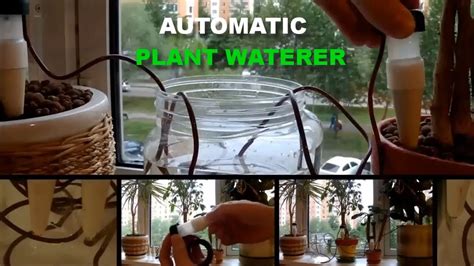 Automatic Plant Waterers Youtube