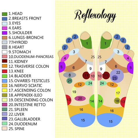 Reflexology Chart Hand Foot