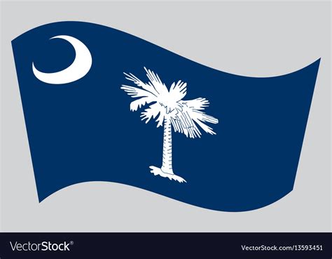 Flag Of South Carolina Waving On Gray Background Vector Image
