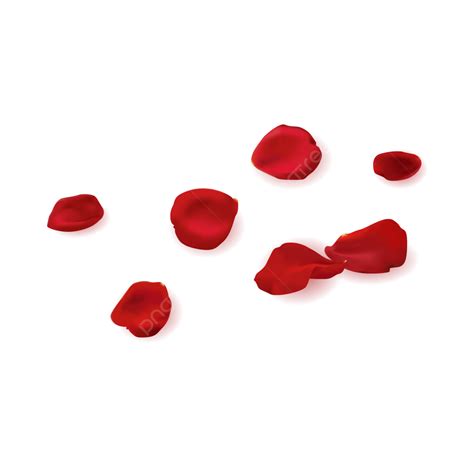 Red Rose Petals Vector Png Images Hand Painted Red Rose Petal Vector