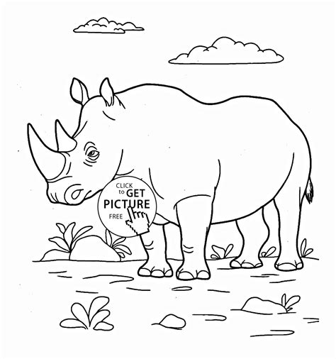 Rhinoceros Simple Wild Animal Drawings Rhino Rhinoceros Animal