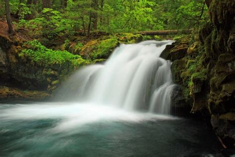 Whitehorse Falls Near Roseburg Oregon Oregon Waterfalls Beautiful