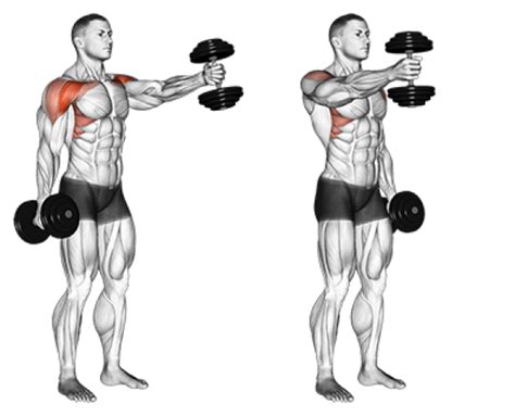 The Best Shoulder Workout Routine Updated 2023 Brad Newton Fitness