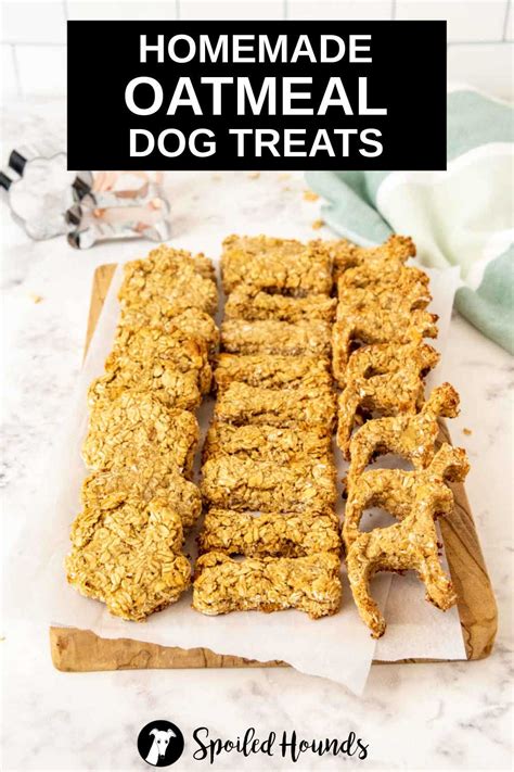 Homemade Dog Treats With Rolled Oats Spoiled Hounds
