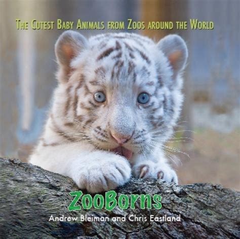Zooborns The Cutest Baby Animals From Zoos Around The World Bog