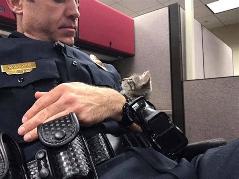 Police Officer Finds A Stray Kitten And Cuddles With Her All Night So