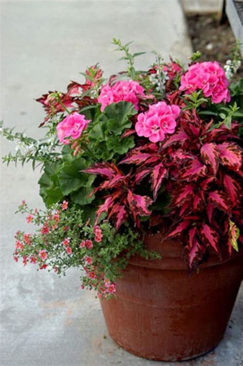 Easy Summer Container Garden Flowers Ideas 47 Fall Container Gardens