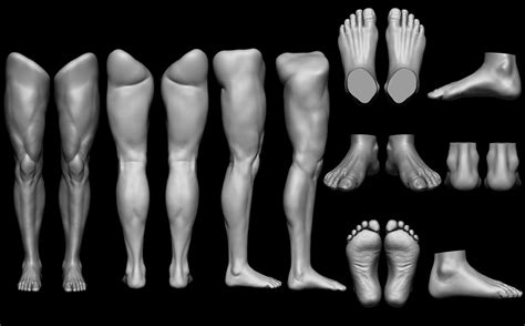 Fares Guettoch Human Legs And Feet