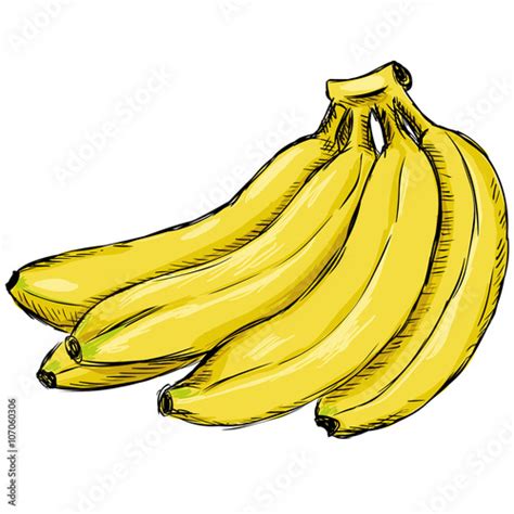 Vector Sketch Yellow Bunch Of Bananas Stock Vector Adobe Stock