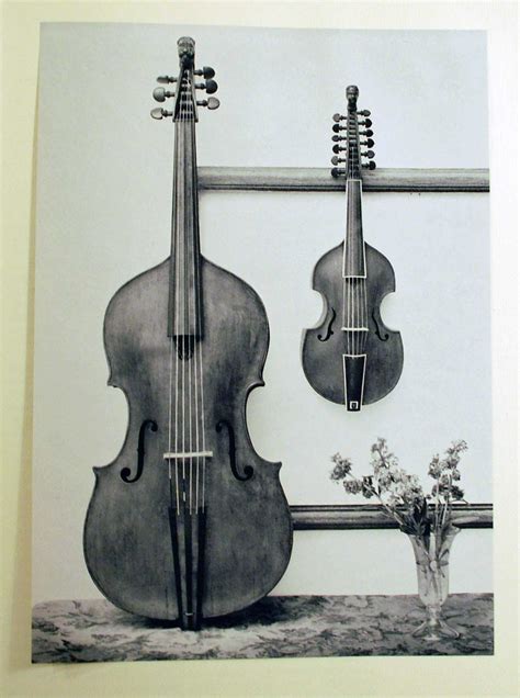 Viola Da Gamba B Anonymouos German Museum Musical Instruments Instrument Collection Viol