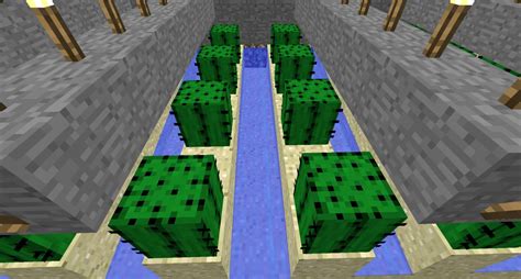Efficient, productive, and interesting farm configurations can be achieved with the creative placement of water source blocks and sand. Cacti farm Minecraft Project