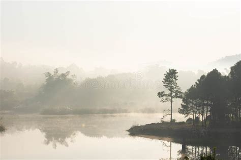 Morning Sun Shines Through The Fog And Trees Over Water Stock Photo