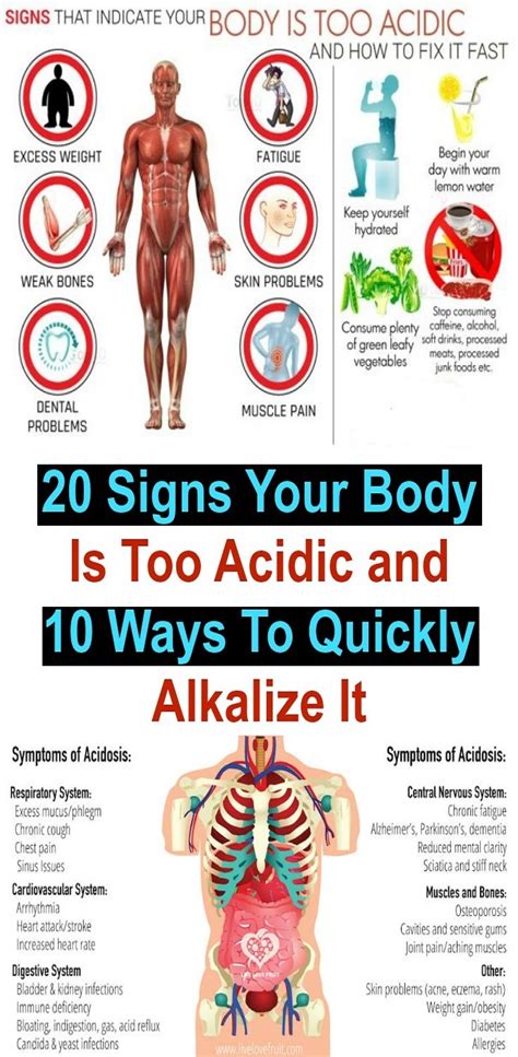 20 Signs Your Body Is Too Acidic And 10 Ways To Quickly Alkalize It Natural Healing Magazine