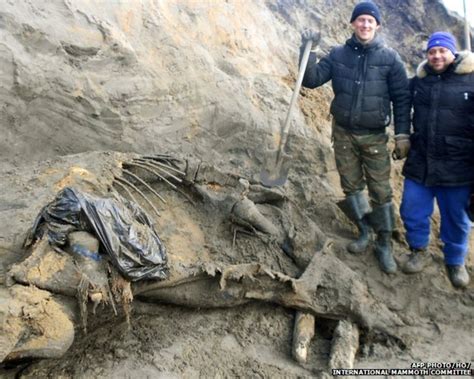 Frozen Woolly Mammoth Found By 11 Year Old Boy Bbc Newsround
