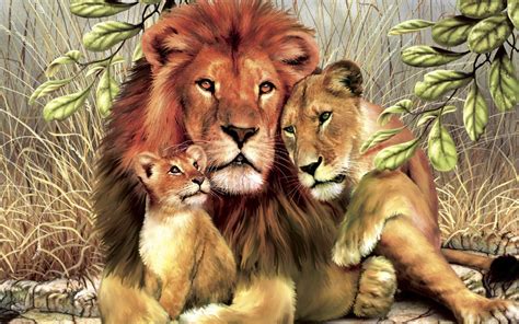 Lion, large, powerfully built cat that is second in size only to the tiger. Animal Lion Family Hugs And Love Wild Animals Hd Wallpaper