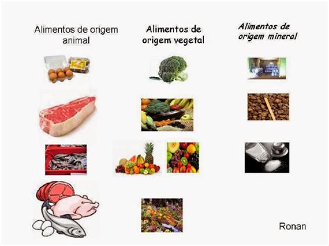 A Origem Dos Alimentos