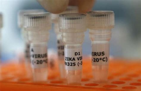 Chile Reports Its First Sexually Transmitted Zika Case