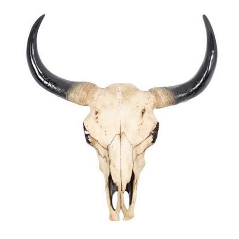 Maybe you would like to learn more about one of these? Large Tribal buffalo skull bull skull wall hanging - Six ...