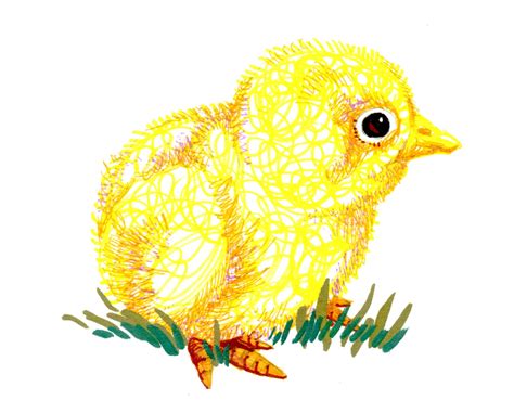 How To Draw A Baby Chick With Zebra Pens In 7 Easy Steps