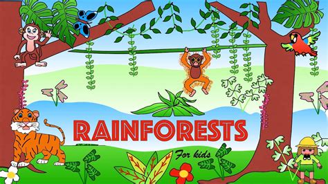 Tropical Rainforests For Kids Facts And Quiz Youtube