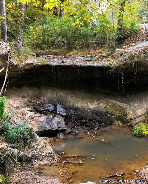 The 5 Best Hikes In Mississippi
