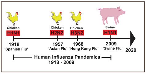 A H1n1 Swine Flu Likely Originated In Us Lab