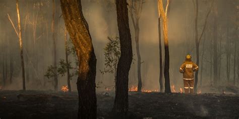 australian bushfires psychological preparation and recovery aps