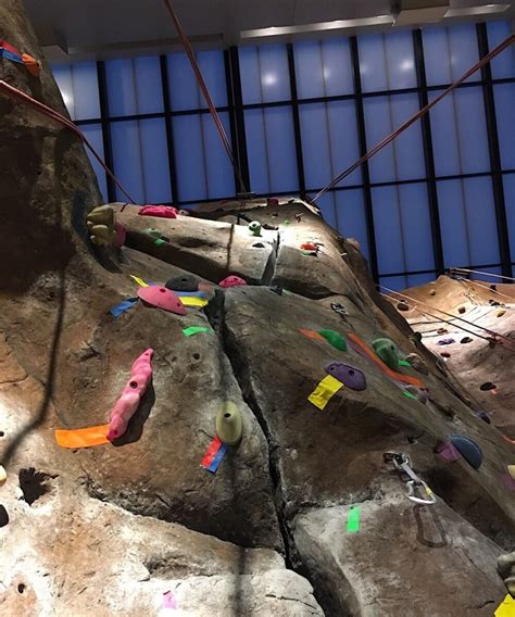 The Best Indoor Rock Climbing Shoes For Beginners