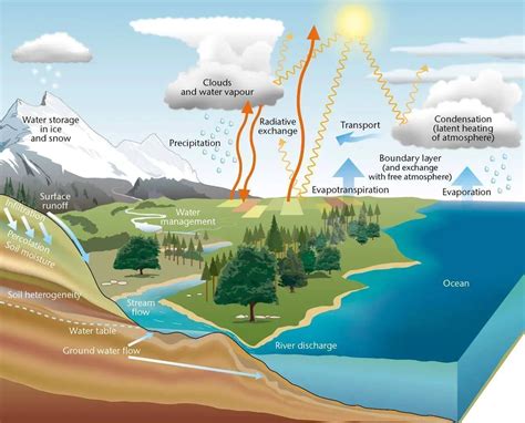 The Water Cycle Definition Easy Science Lesson For Kids