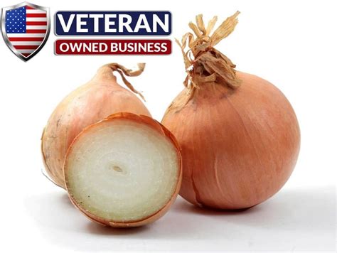 Onion Seeds Yellow Sweet Spanish 600 Non Gmo And Heirloom Vegetable