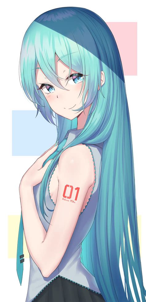 Miku With Her Hair Down Hatsune