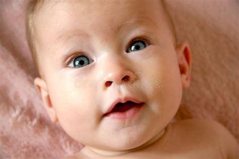 Baby Face Closeup Stock Photo Image Of Perfect Portrait 1127222