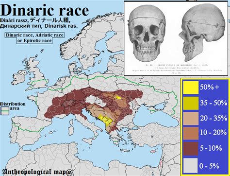 Dinaric Race Ancient History Facts Racing Historical Maps