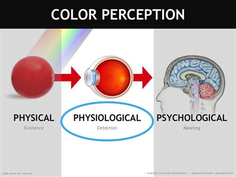 Color Perception Image Source Dot