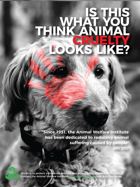 Top 117 Animal Cruelty Ads