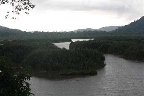 There is also a similar story originating from lake bera; kembara (..as I Travel): Drop By Tasek Chini