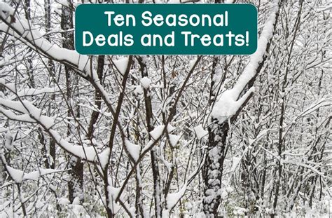 Elementary Matters Ten Seasonal Deals